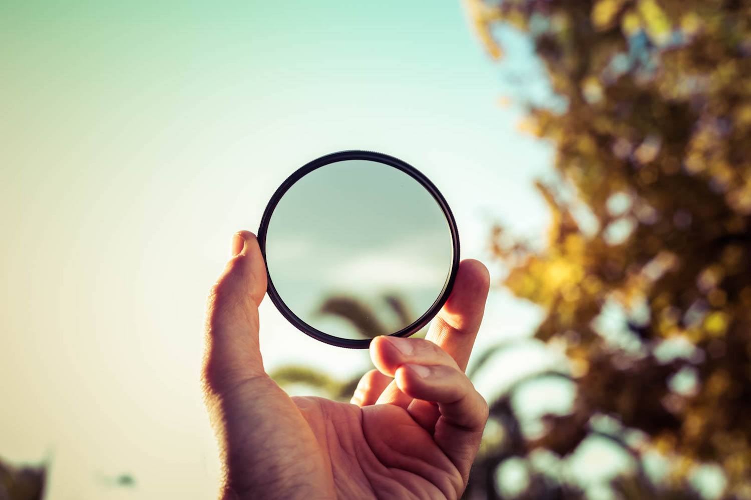 Circular Polarizer