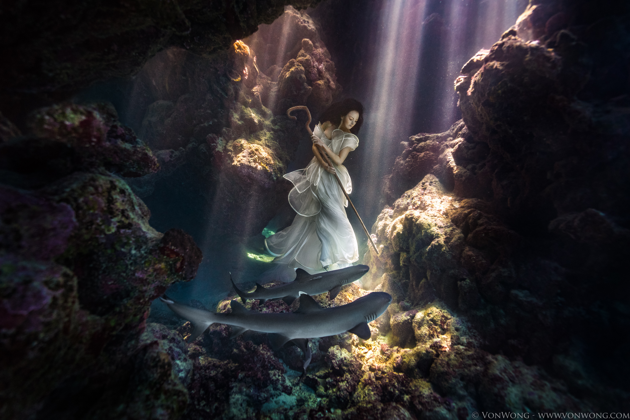 Von Wong Ties Model Down with Sharks for Breathtaking Photo Shoot