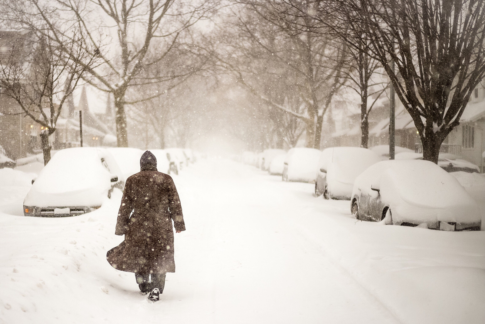 35 Photos of #Blizzard2016 Burying New York City