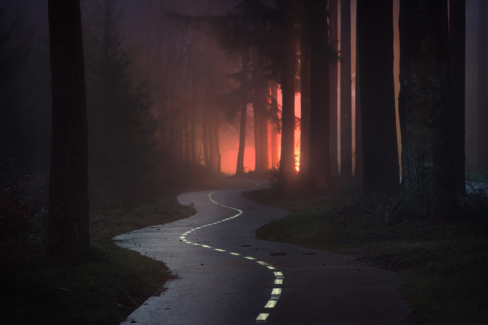 Turn Around: The Making of this Mysterious Misty Photo