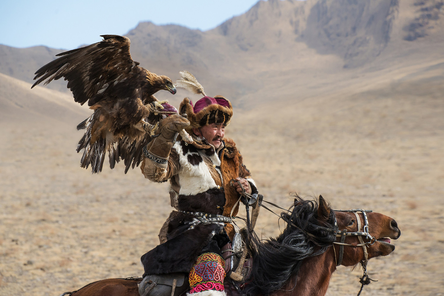 Amazing Photos of Mongolia's Eagle Hunters