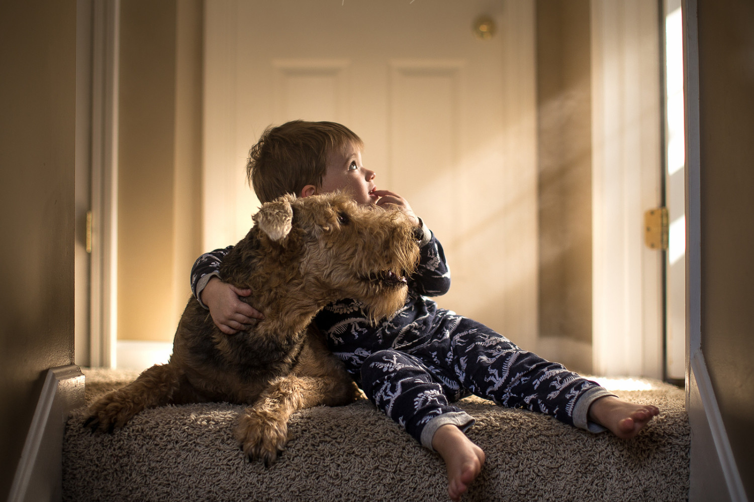 How to Use the Natural Light in Your Home to Capture Amazing Lifestyle Photos