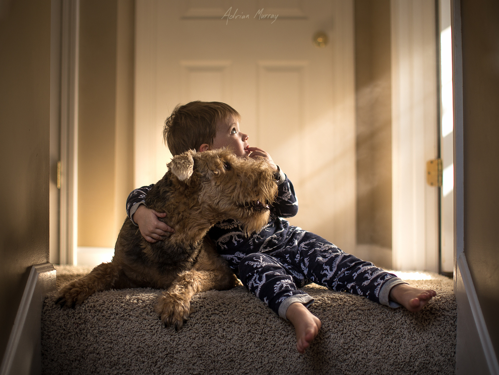 How to Use the Natural Light in Your Home to Capture Amazing Lifestyle Photos