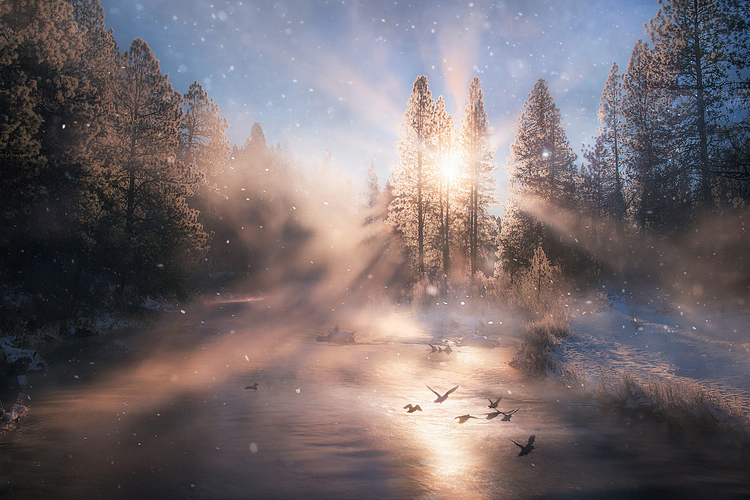 Top 20 Landscape Photos on 500px So Far This Year