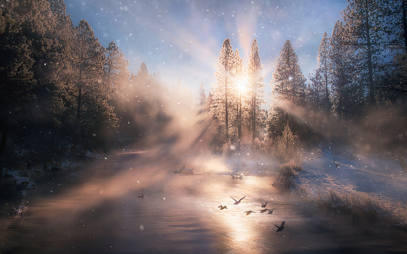 Top 20 Landscape Photos on 500px So Far This Year