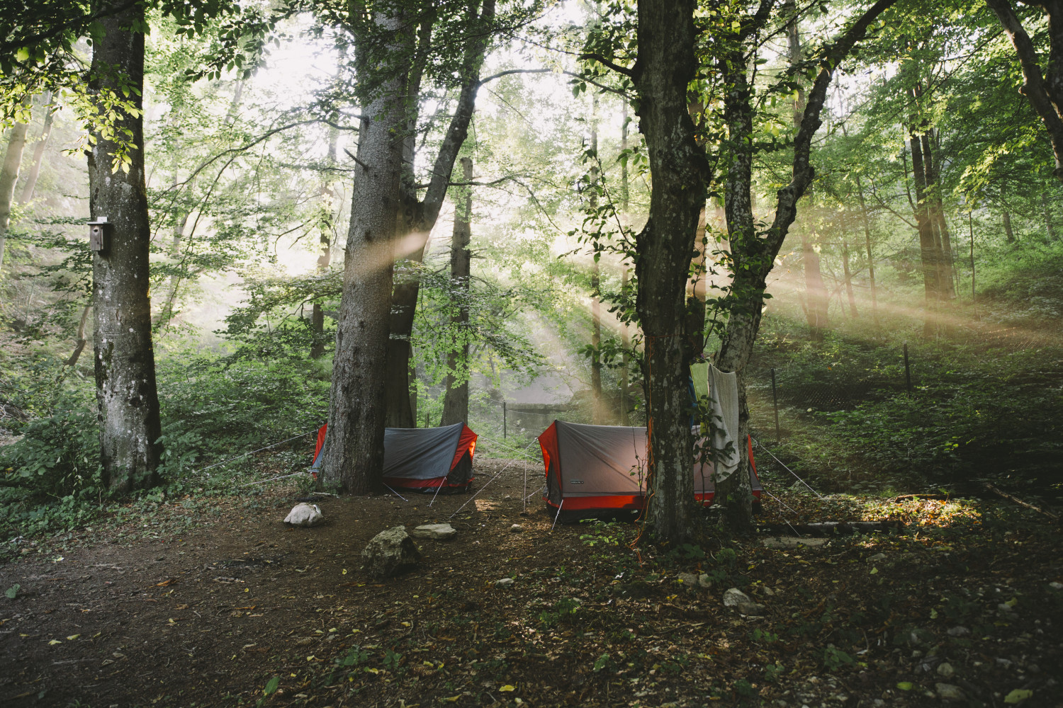 Featured in Alex Strohl's Alternative Living