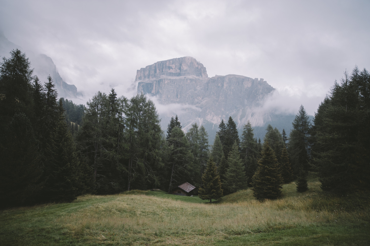 Featured in Alex Strohl's Alternative Living