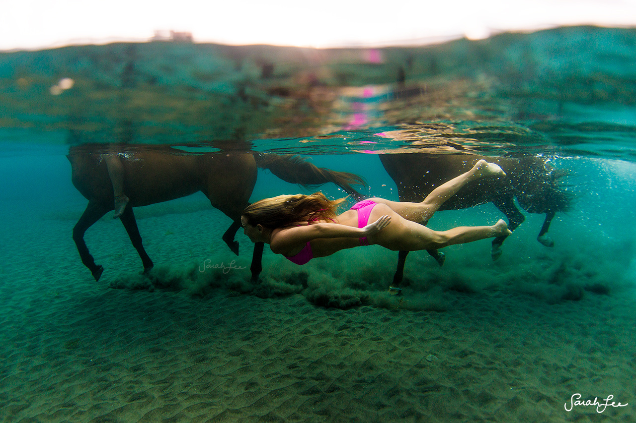 Photographer Captures Epic Swim With Horses In Dominica