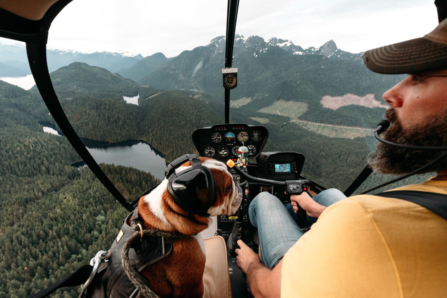 Flying with Mr Bentley the Dog by Rishad Daroowala