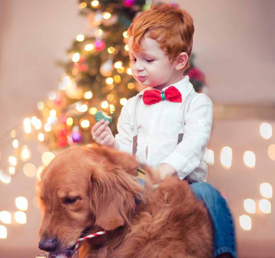 20 Photos That Will Make You Nostalgic for the Holidays... Including Some Very Adorable Pets