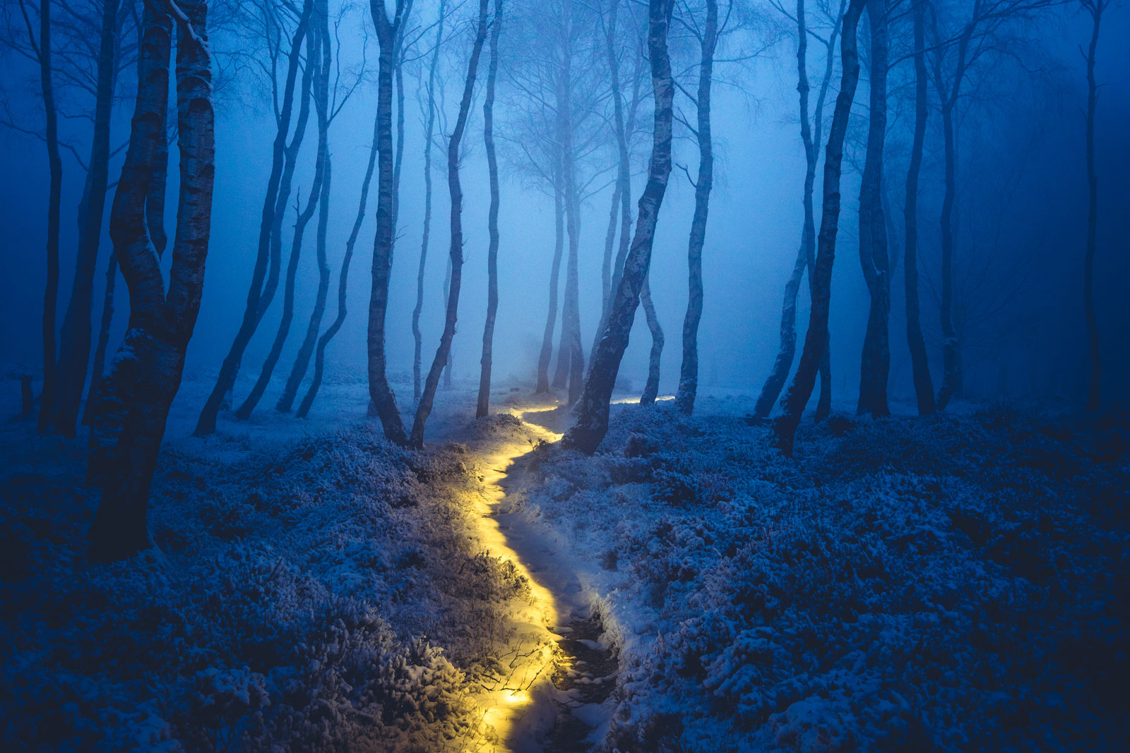 3 Magical Photos that Capture Light at Night