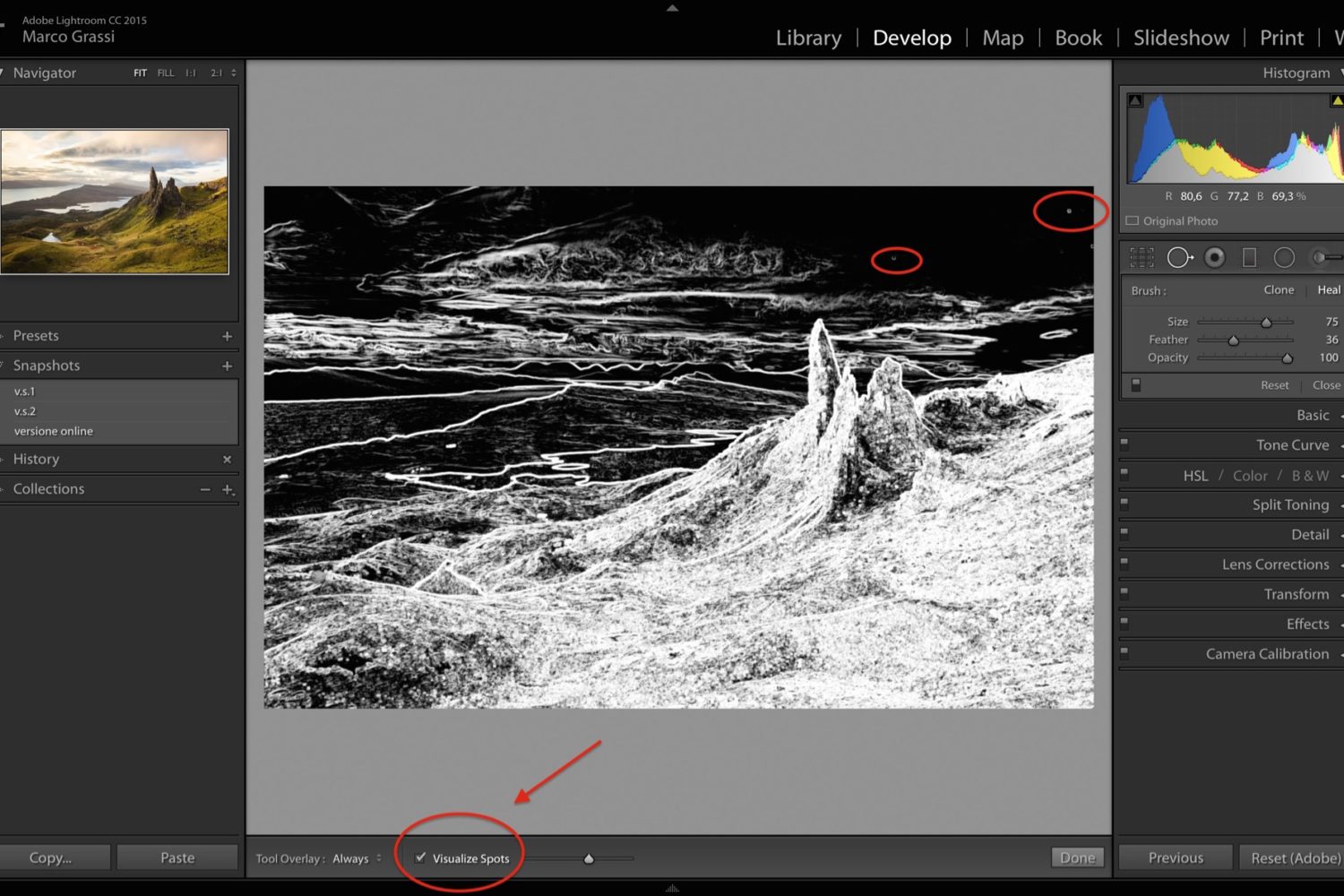 Lightroom_Visualize_Spot_removal_tool_2 500px