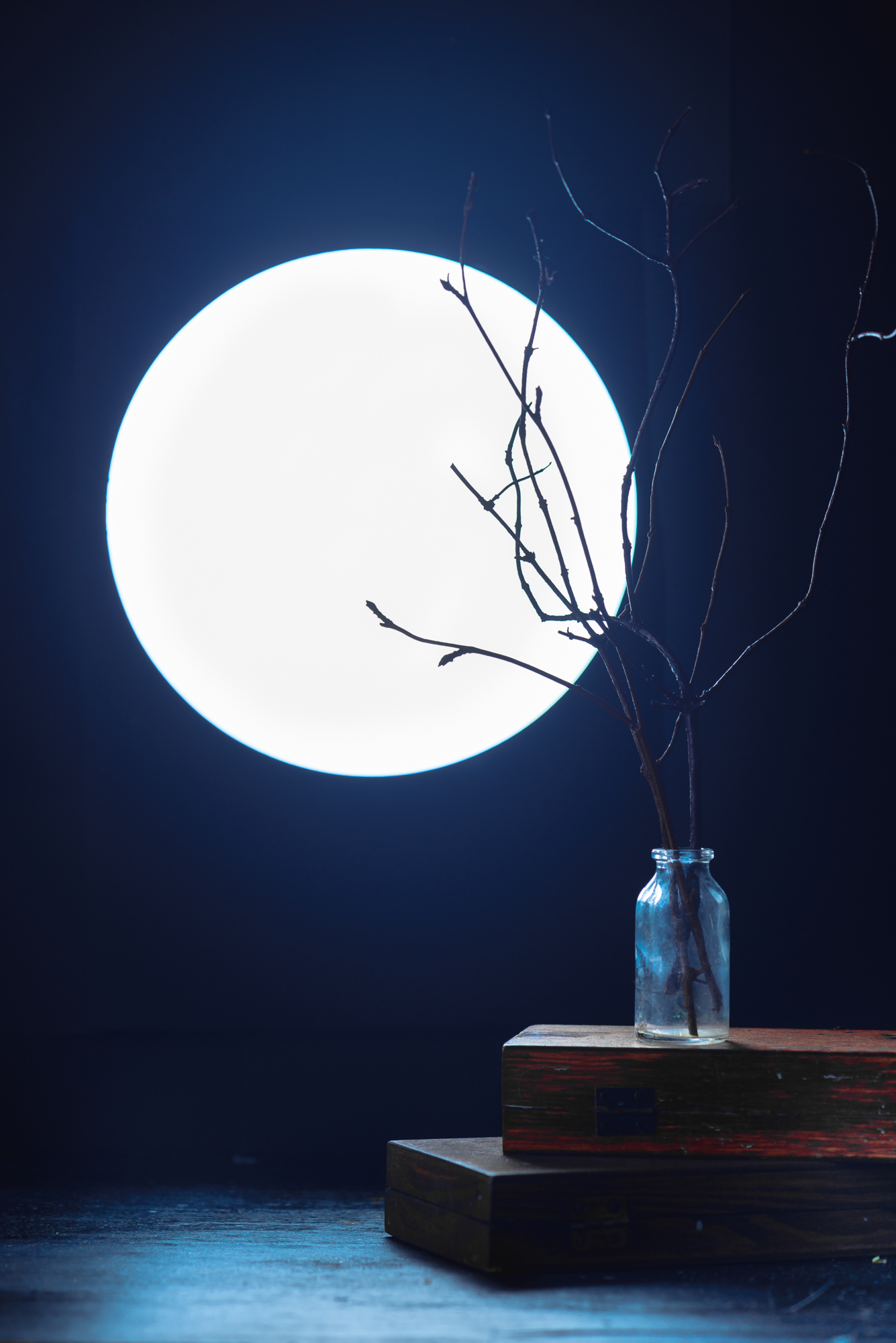 500px_blog_Halloween_still_life_moon