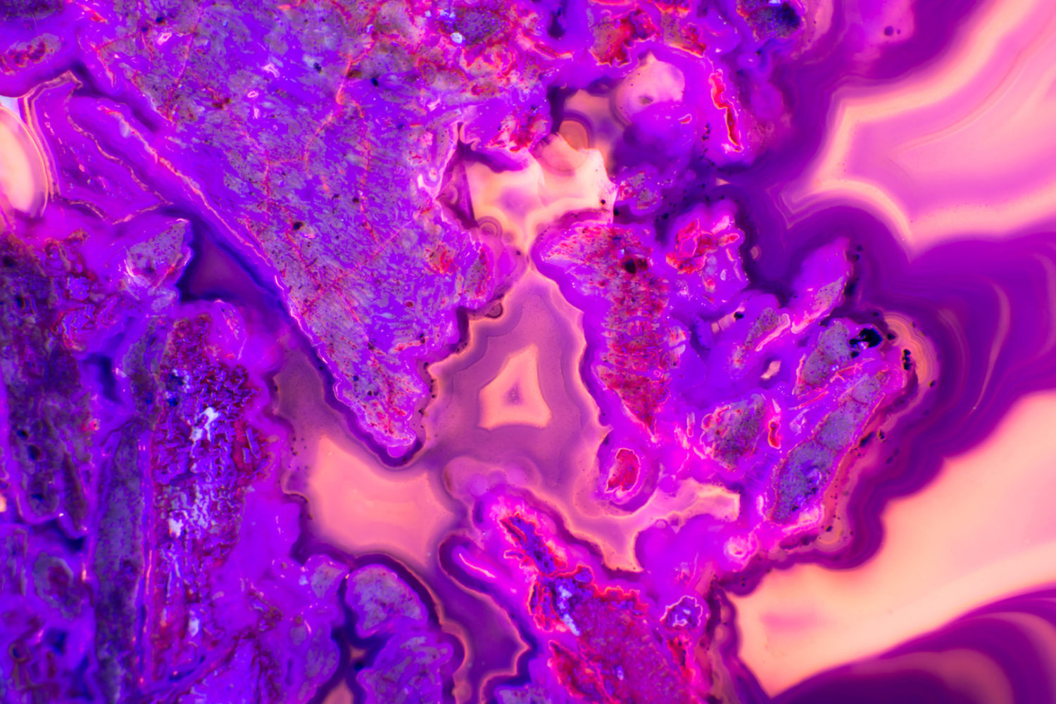 29 ultraviolet photos that'll make you fall in love with Pantone's Color of the Year