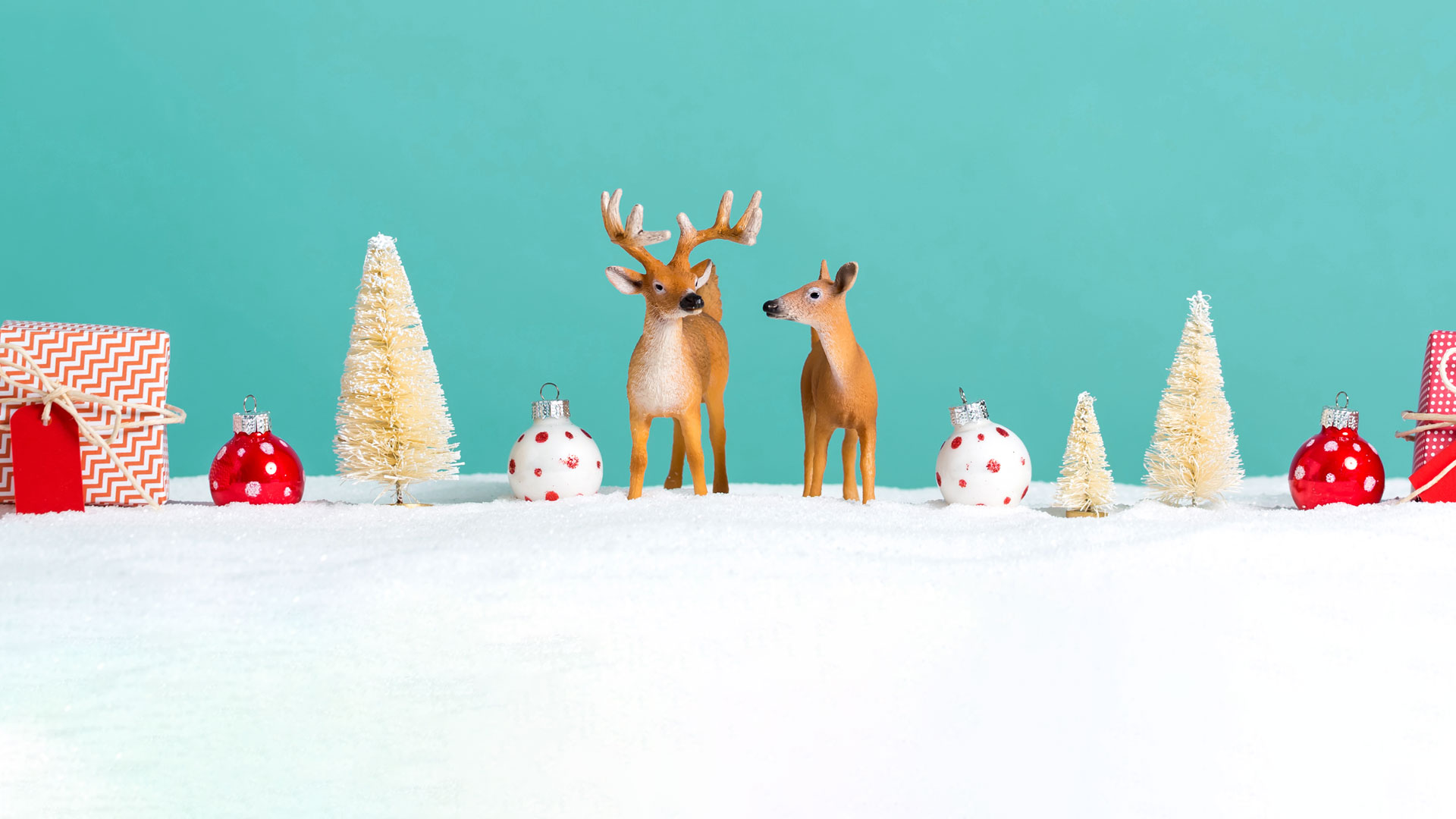 500px presents our second annual Questmas challenge