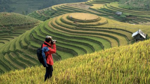 Photographers taking pictures scenery rice terraces in Vietnam.