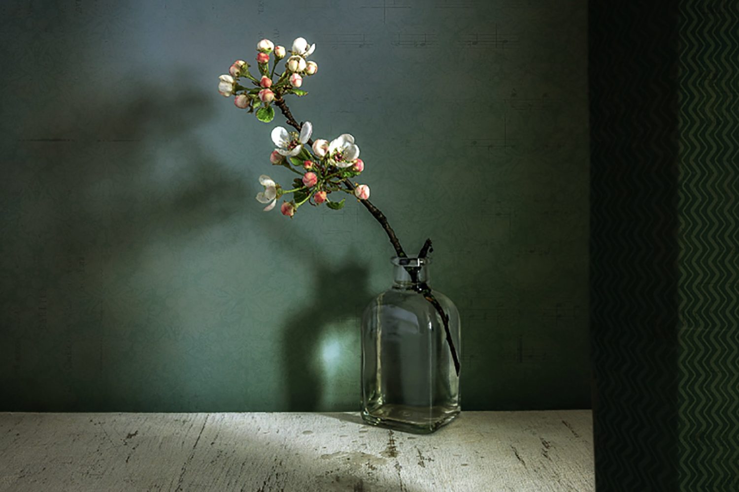 still life photography vase