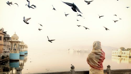 A woman in sari watching the sunrise in Udaipur lake