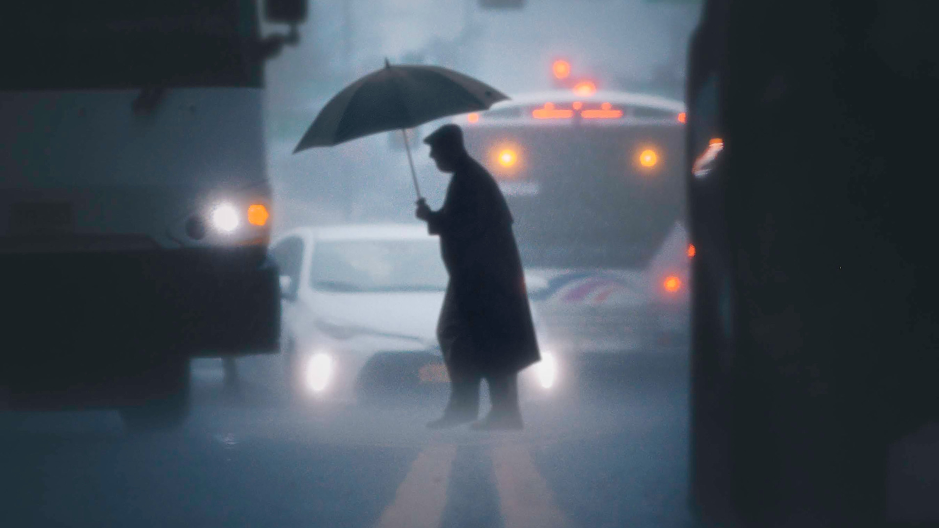 umbrella photography pose - Google Search | Umbrella photography, Umbrella  photoshoot, Rainy day