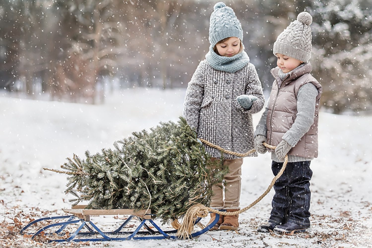 Eight tips for photographing your family around the holidays