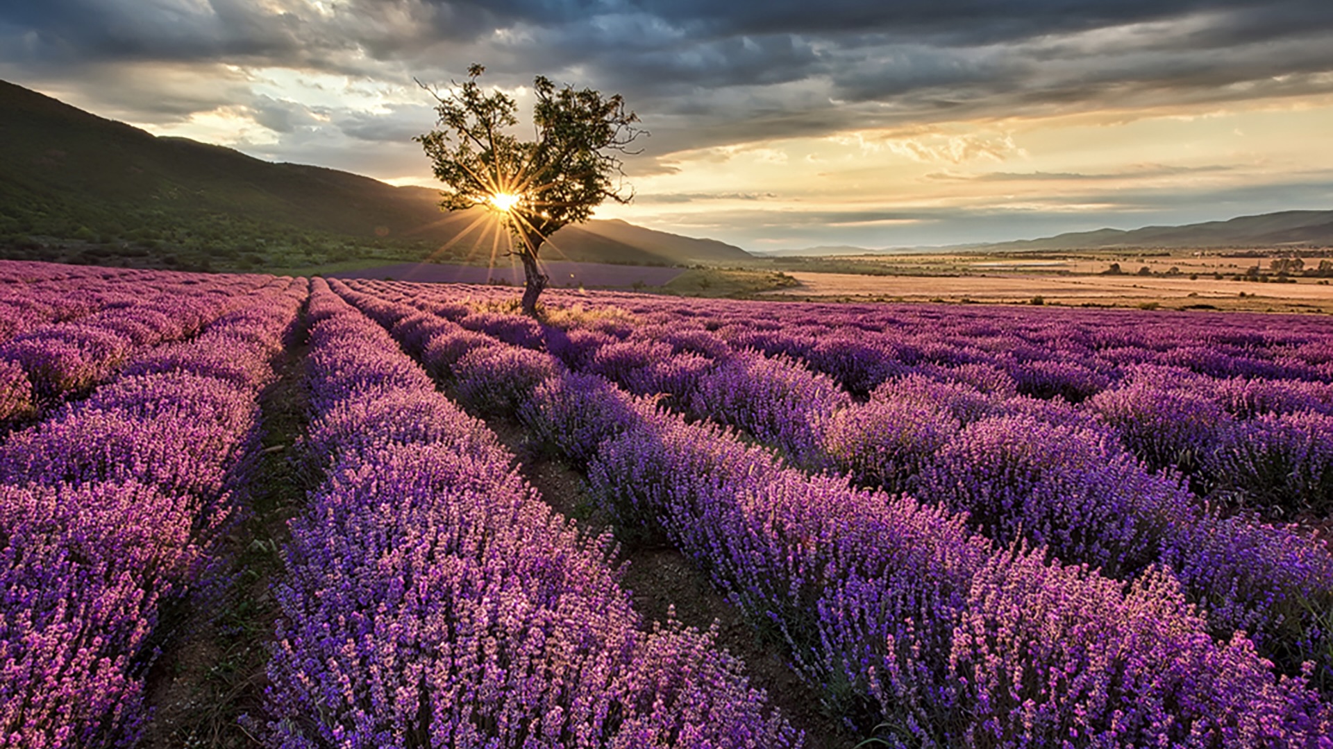 25 Licensing landscape photos you need to see