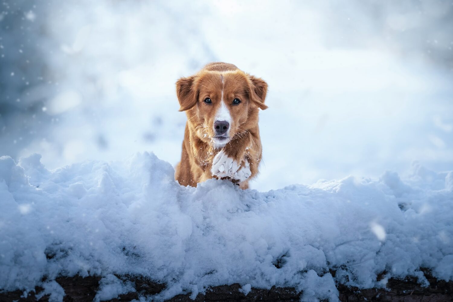 10 chilly new photos from 500px Licensing Contributors