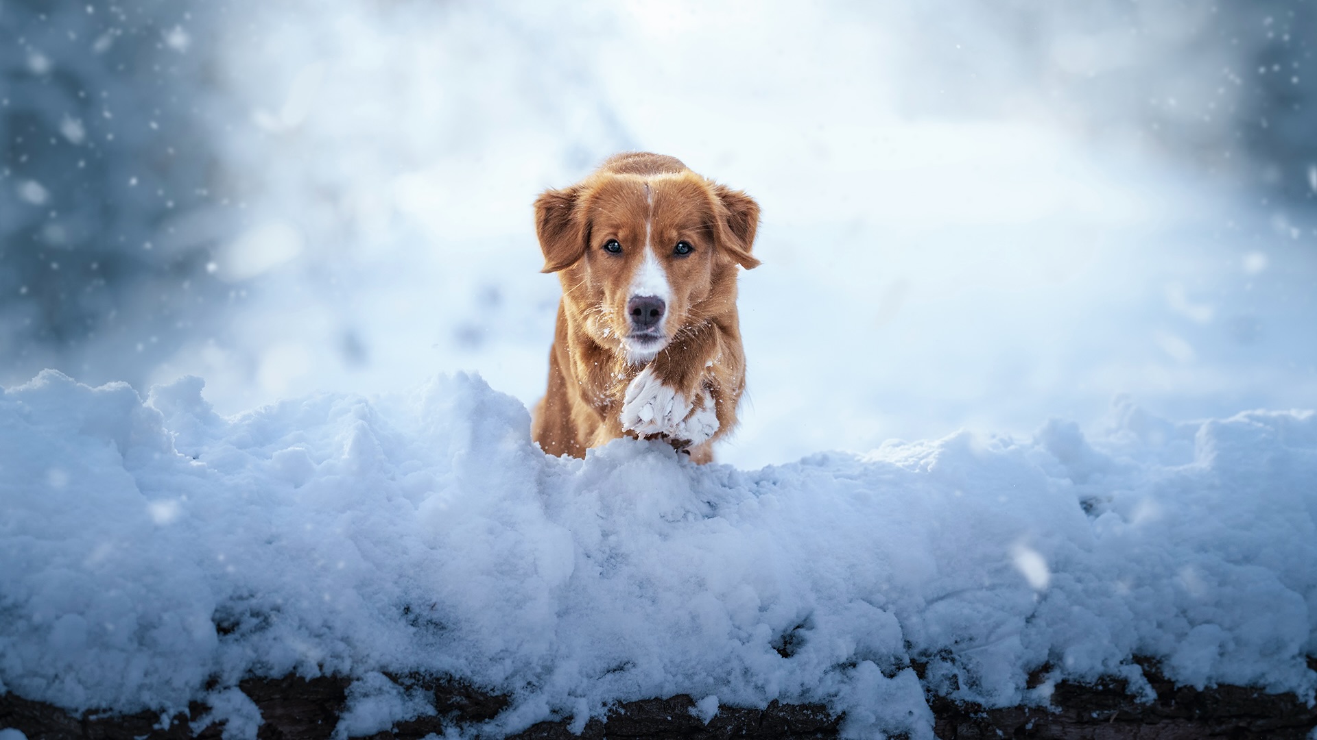 10 chilly new photos from 500px Licensing Contributors