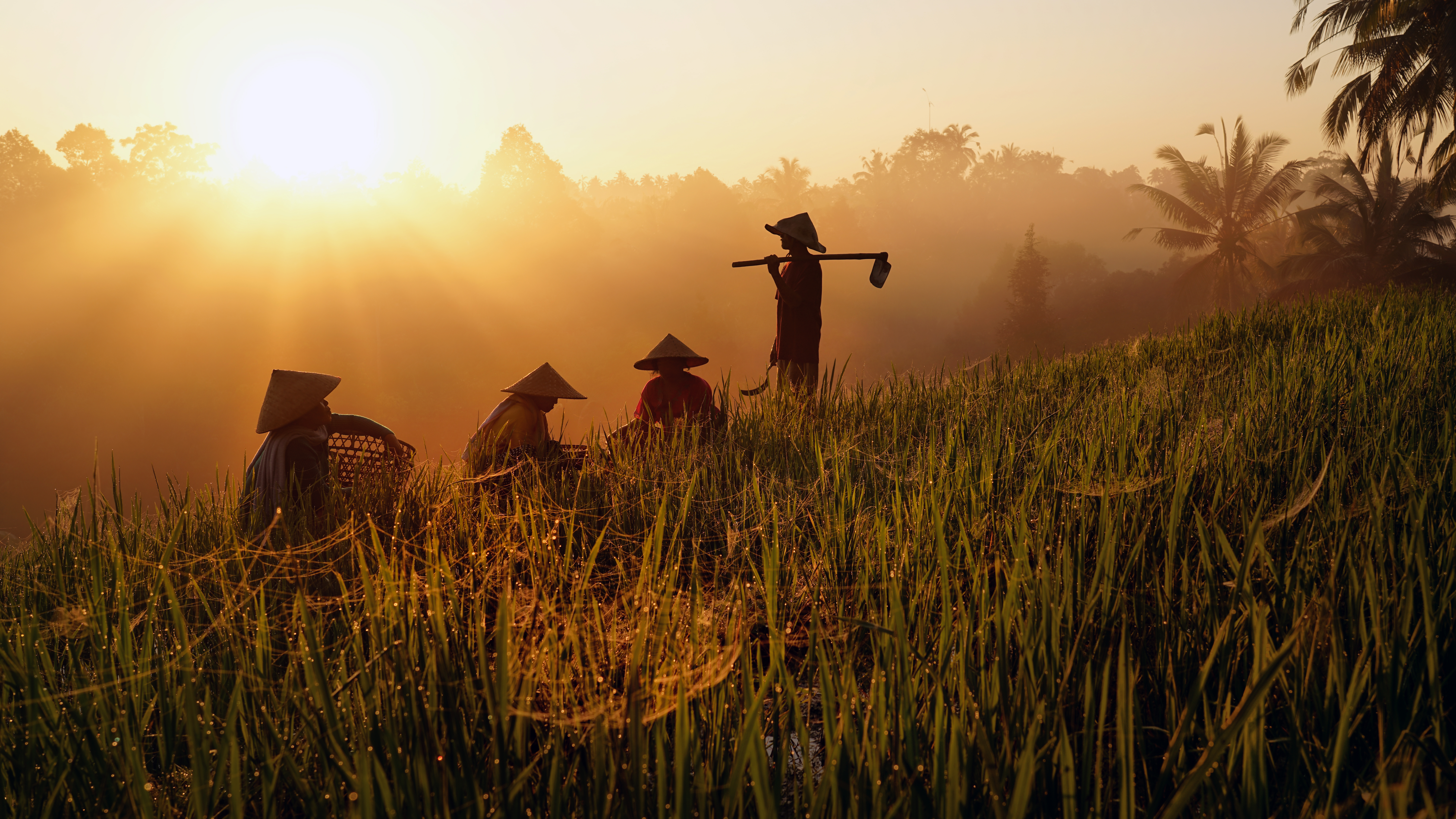 Harnessing Golden Hour Magic