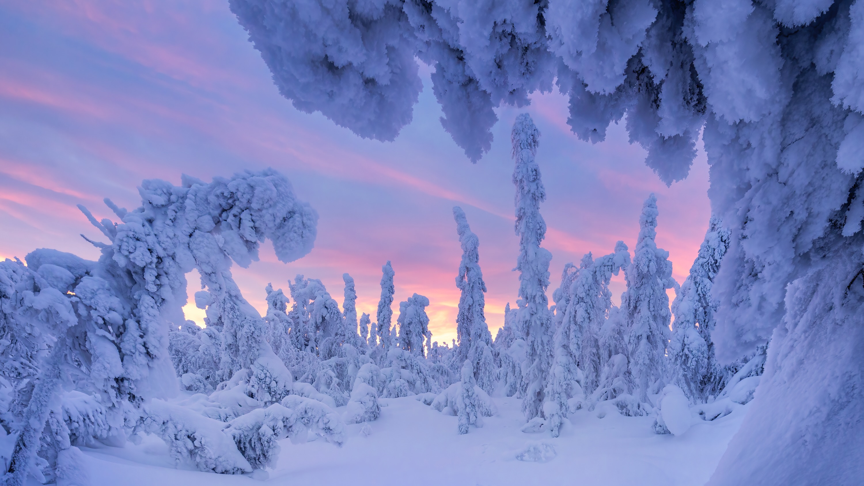 Mastering winter landscapes in photography