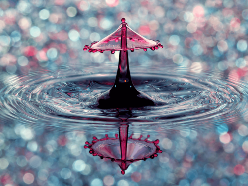 A perfectly timed image of a water drop collision resembling an umbrella, captured with high speed photography to freeze the motion and fine details.