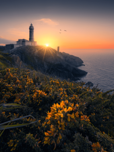 A glowing sunset behind a coastal lighthouse with vibrant yellow flowers in the foreground, illustrating scenic compositions with layers of light, color, and depth.