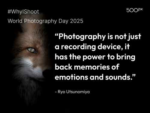 World Photography Day 2025 quote graphic featuring a close-up of a fox’s face with the quote by Ryo Utsunomiya: ‘Photography is not just a recording device, it has the power to bring back memories of emotions and sounds.’