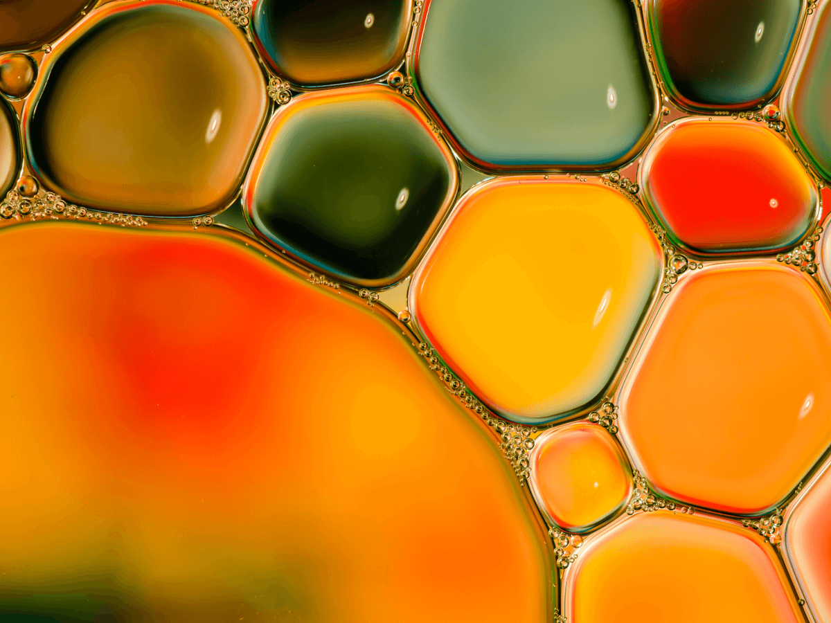 Transforming the Ordinary: Abstract Macro Shots