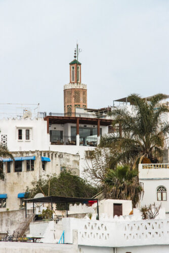 Scenic view of white buildings and palm trees with a tall mosque minaret in the background, photographed by Maggie Gongolevich.