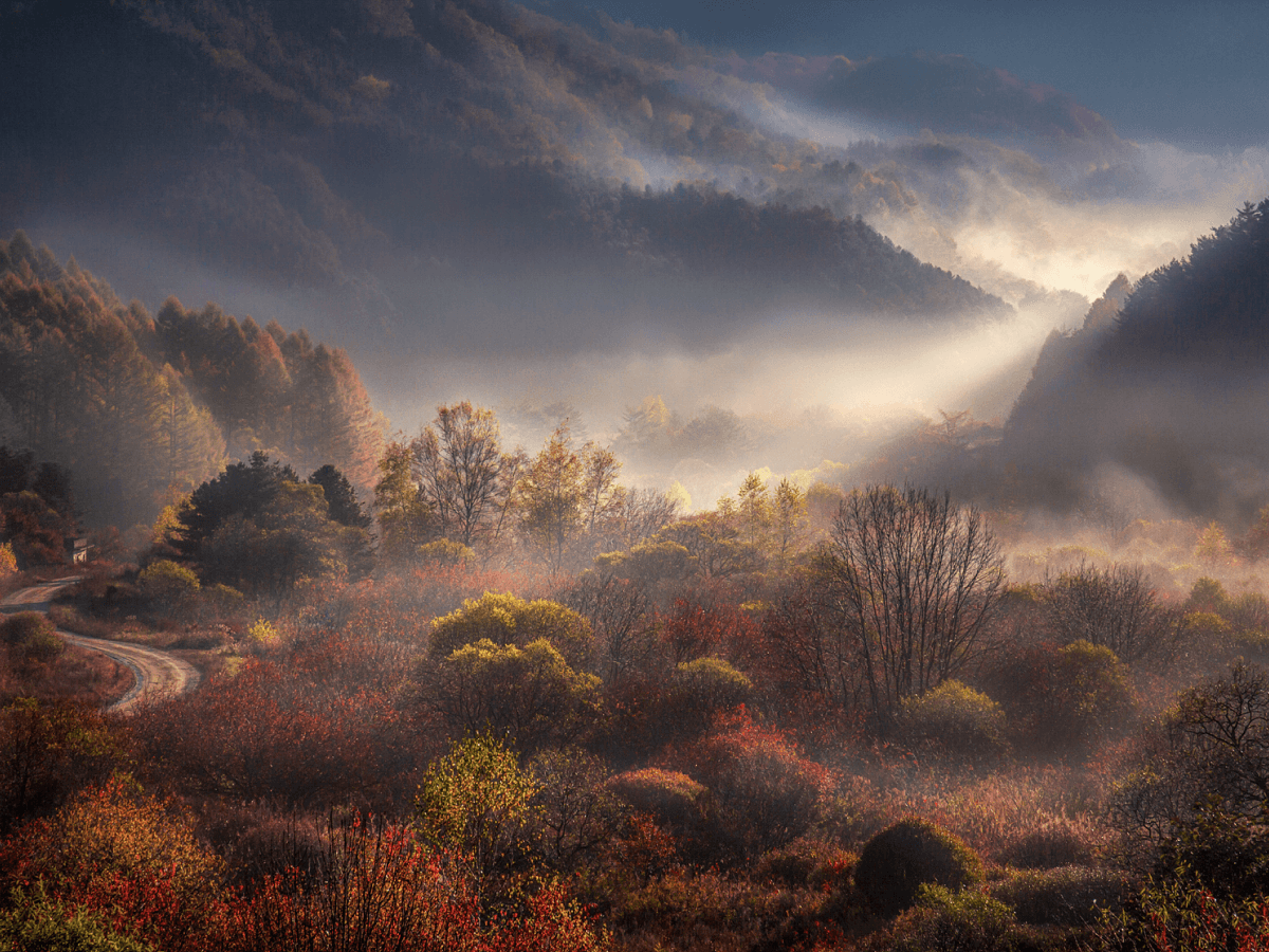 Photographing Fog, Frost, and Transition Light