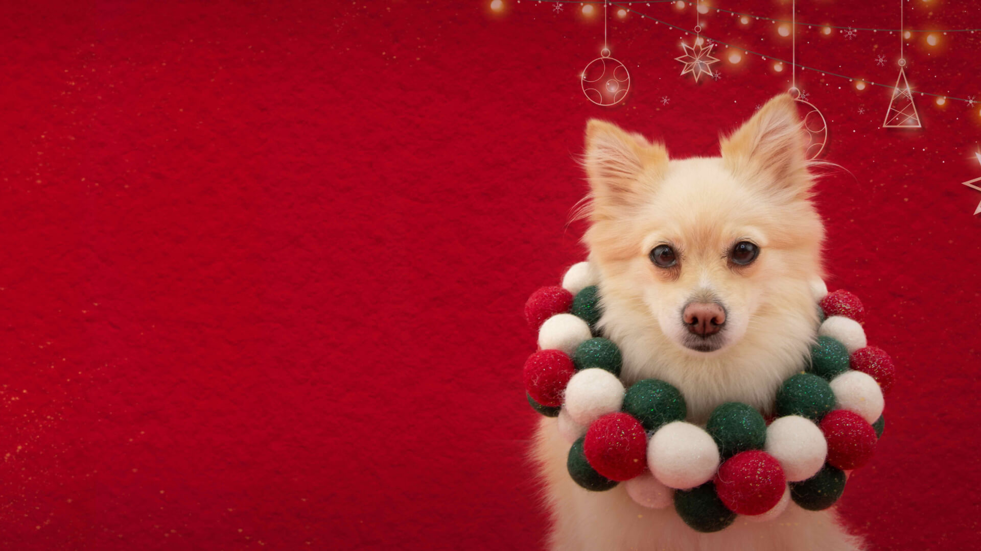 Questmas 2025: The Most Joyful Photography Event