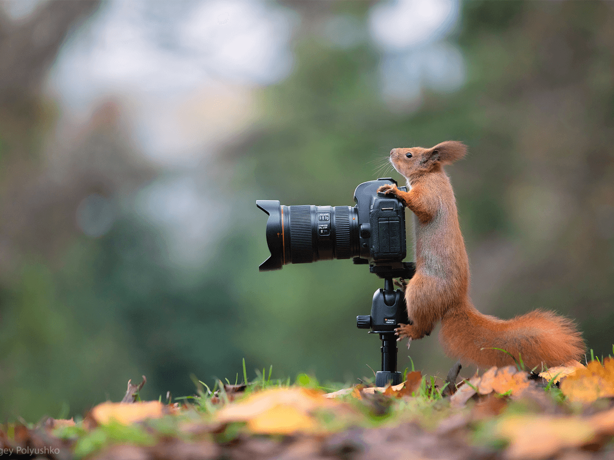 Reignite Your Creativity: Photography Prompts to Start the Year Strong