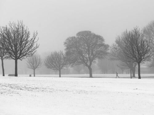 A solitary figure walks across a snow-covered park lined with bare trees, fading into fog and showcasing contrast and atmosphere in winter conditions.