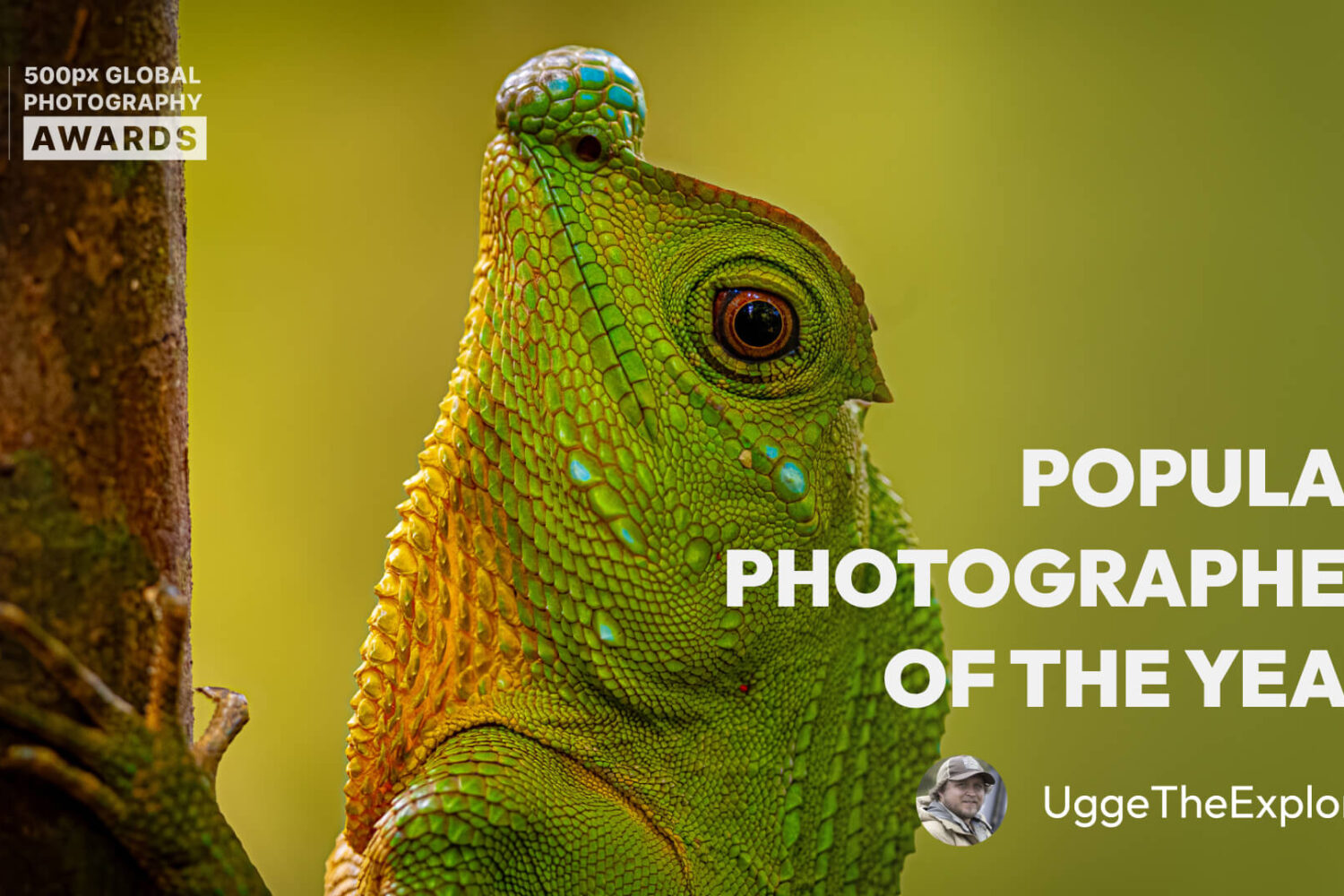 Emil Nygård: 500px Photographer Spotlight