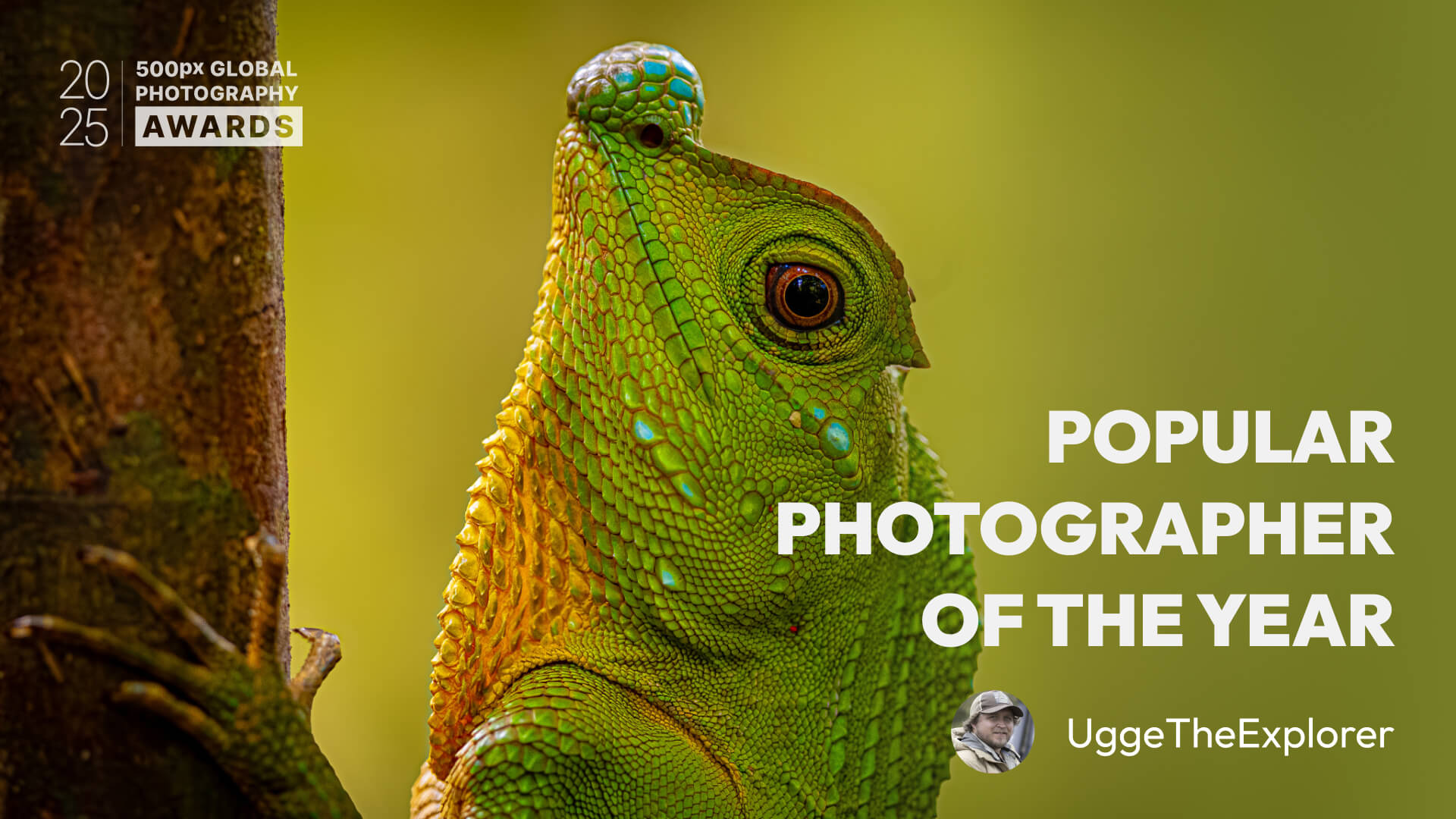 Emil Nygård: 500px Photographer Spotlight