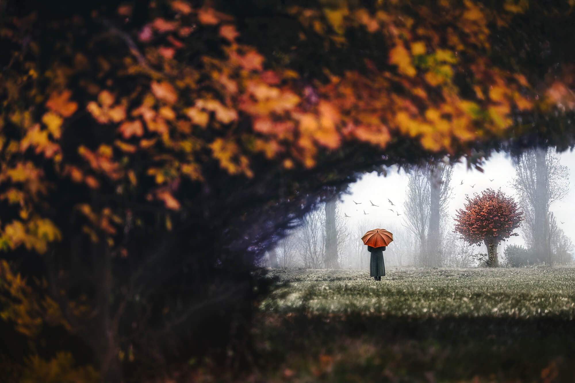 Stefan Fischer surreal autumn landscape with a lone figure under an umbrella framed by colorful foliage, highlighting dreamlike atmosphere and minimalist composition