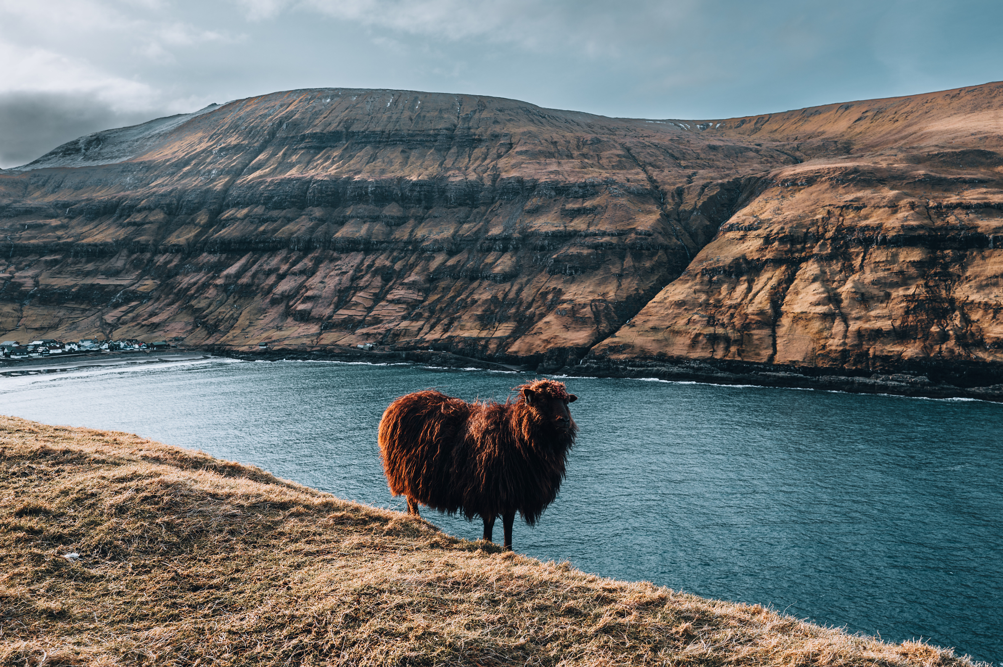 Sheep standing by a river with rugged mountain cliffs in the background, landscape photography by Leon Eule.