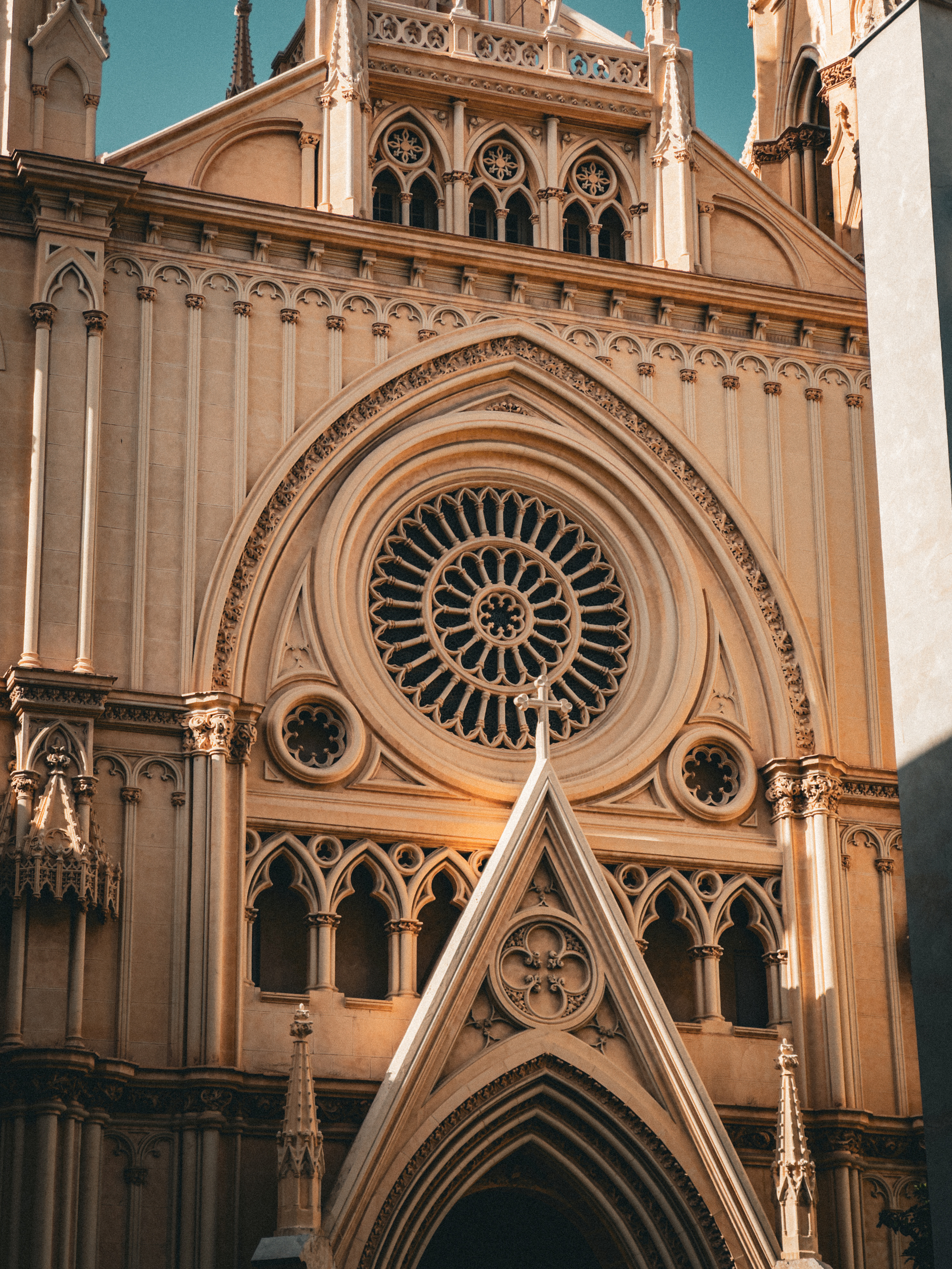 Malaga Cathedral by Filip Chmielecki