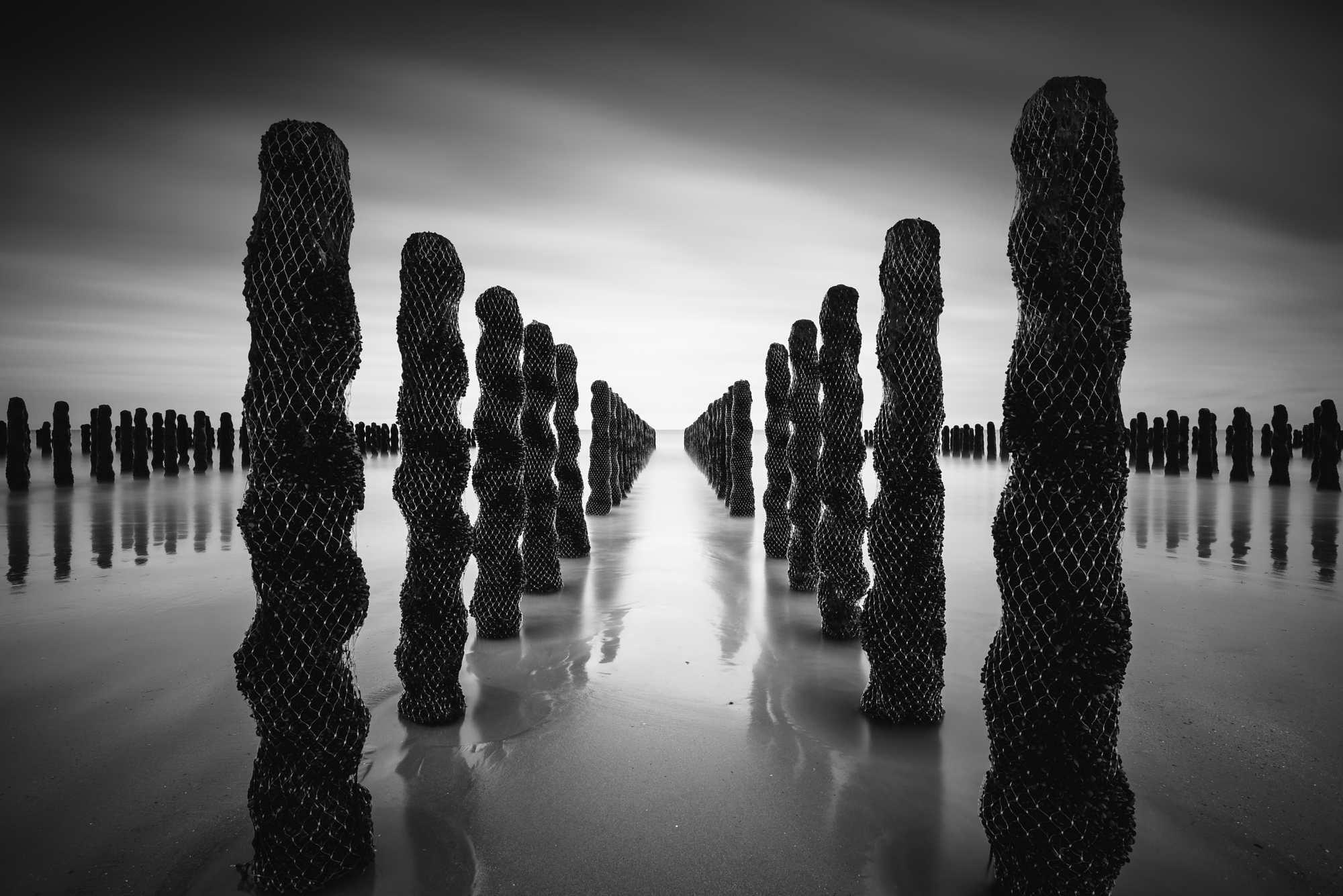 Minimalist long exposure photography of coastal bouchot poles.