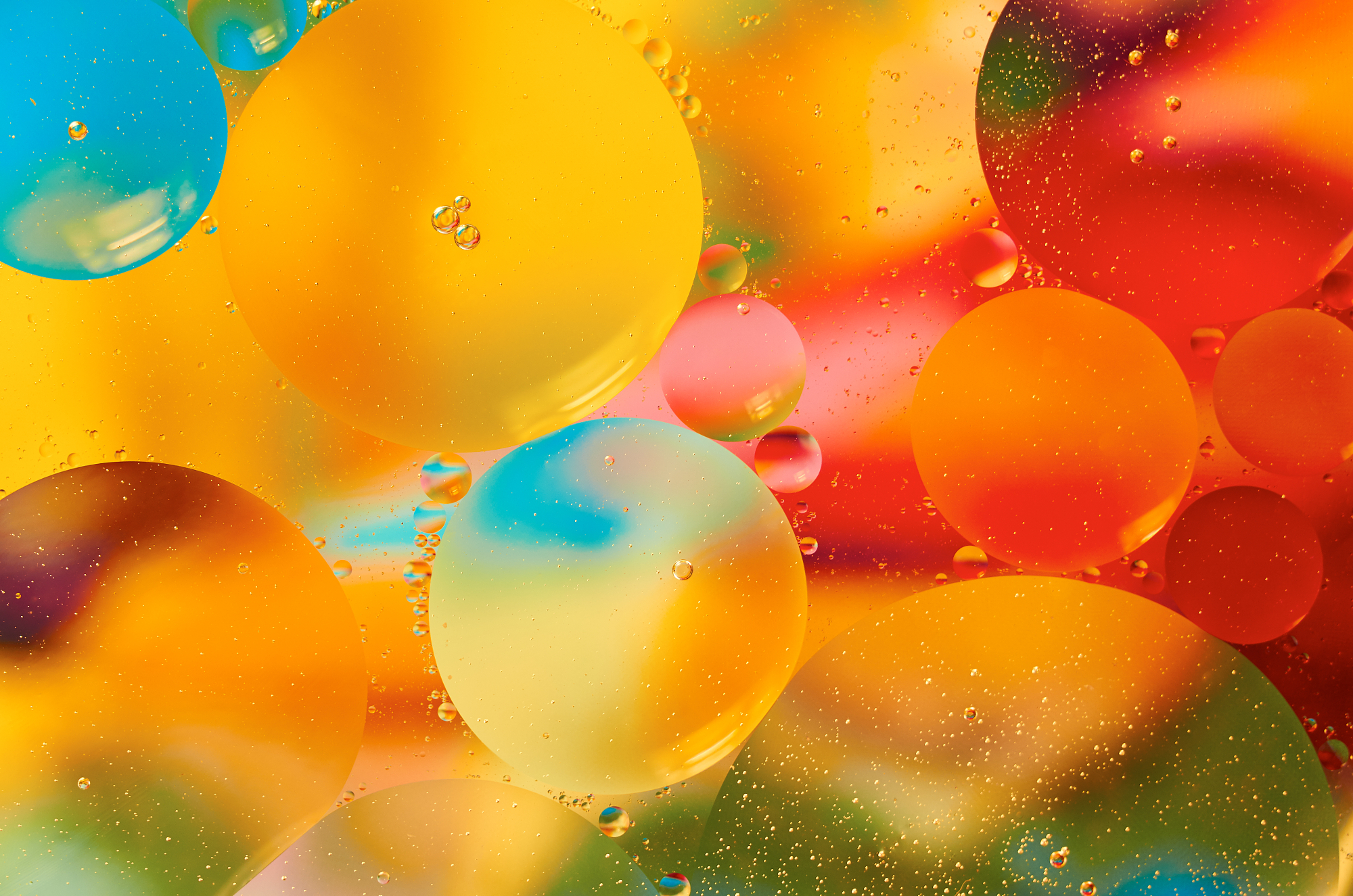 Macro photography of colored oil droplets.