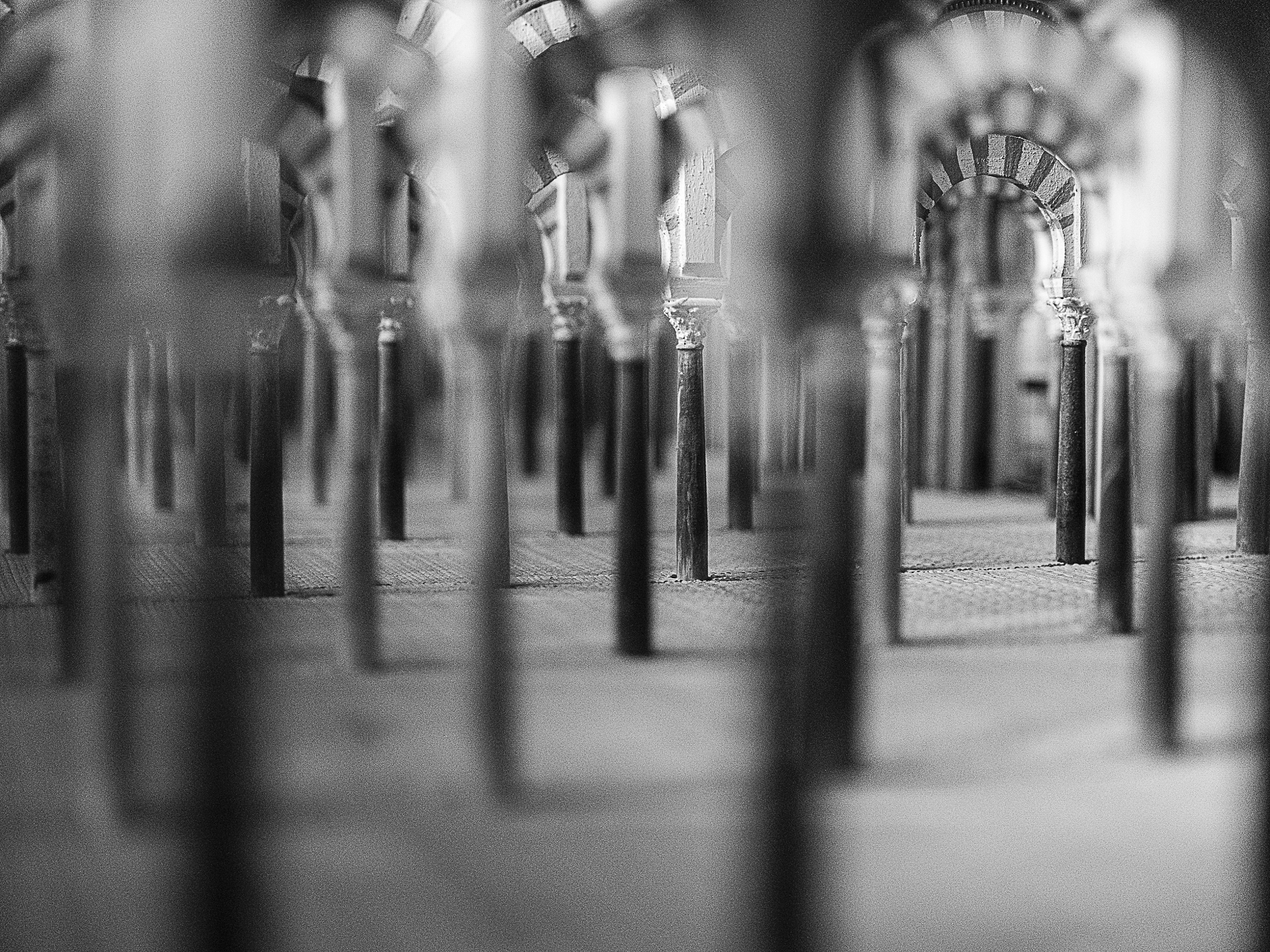 Striking urban photography showcasing architectural columns and deep shadows in black and white.