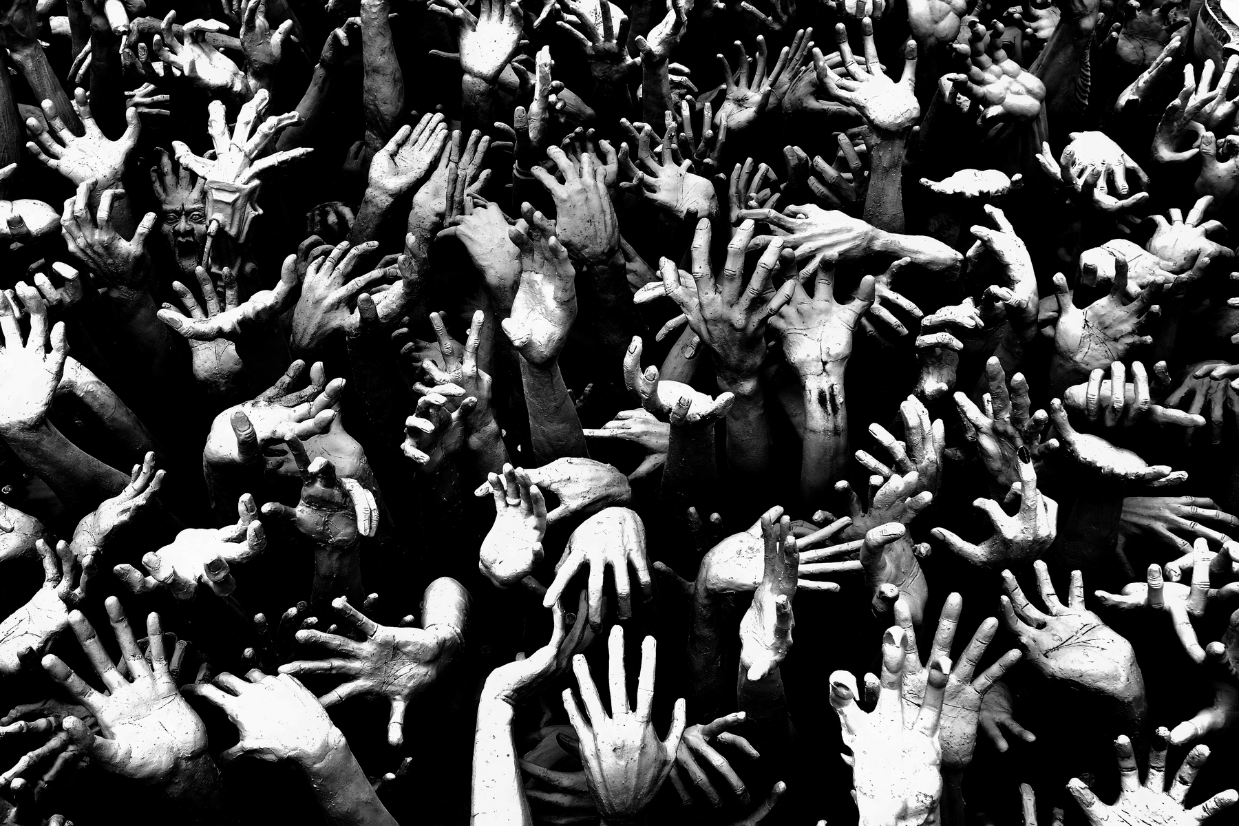 Black and white photography highlighting a crowd of raised hands.