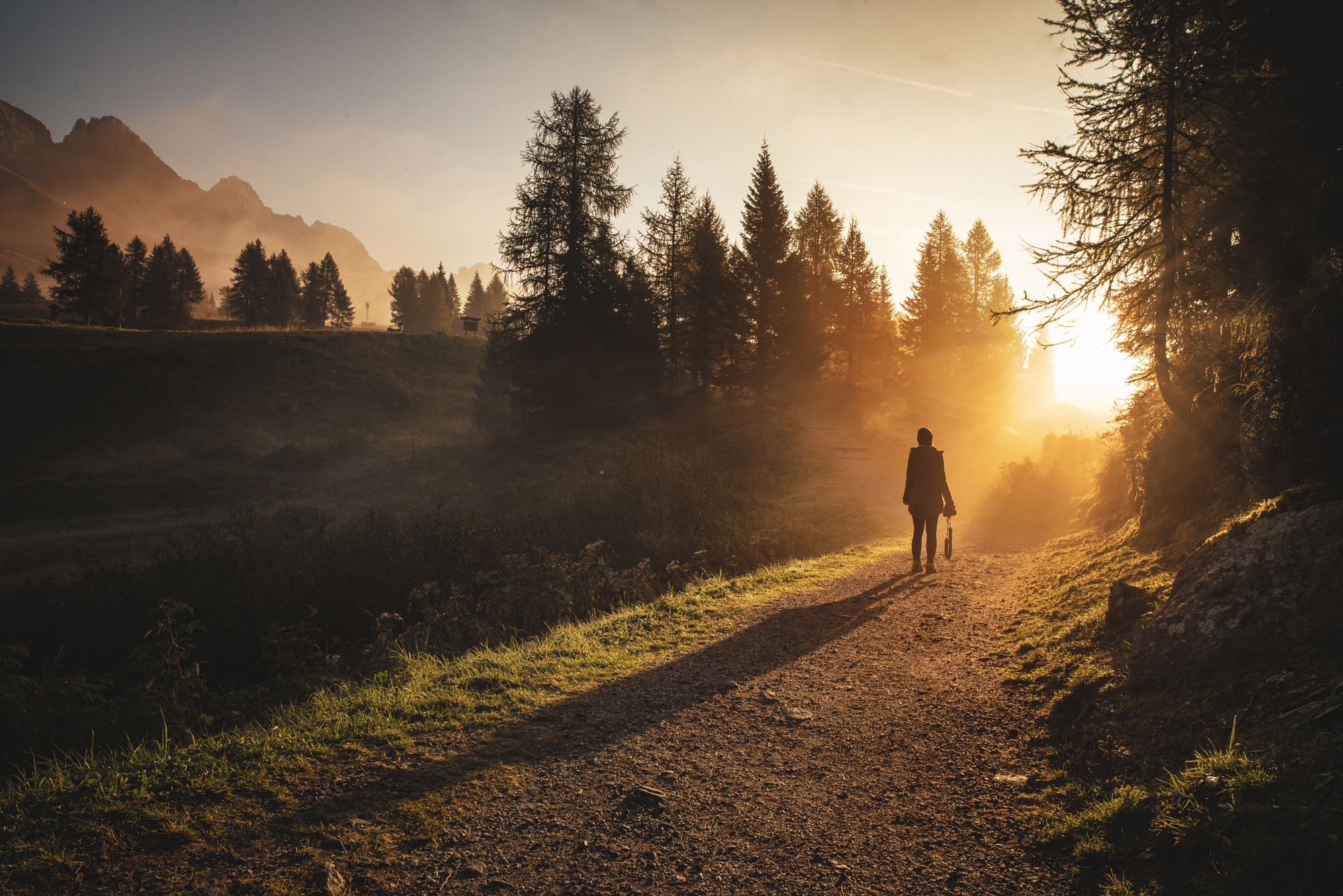 A silhouetted person walking on a dirt trail surrounded by pine trees, highlighting backlight photography in a misty alpine forest.