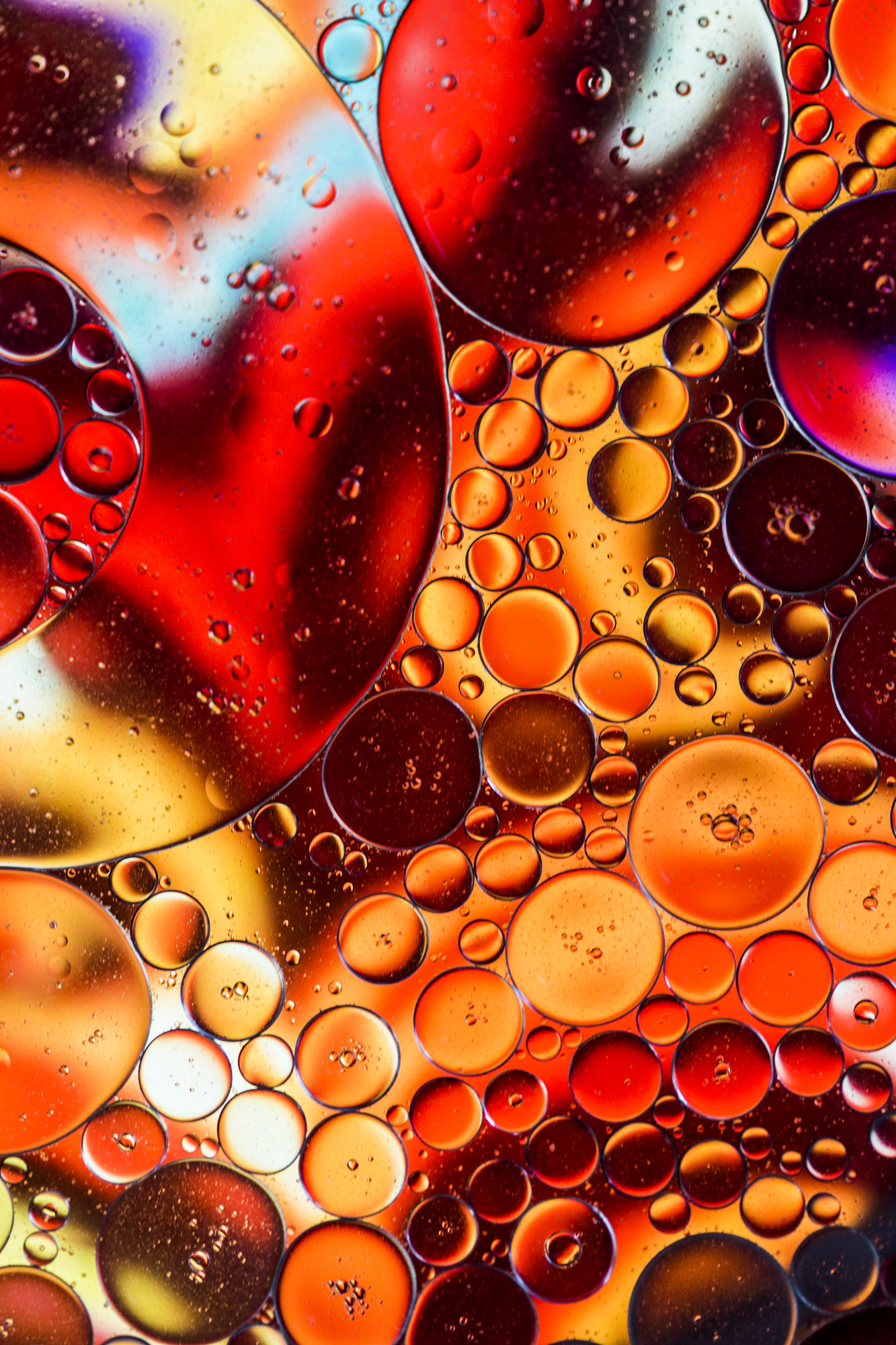 Macro photography patterns and textures displayed through circular oil drops floating in water with vibrant red and orange backlighting.