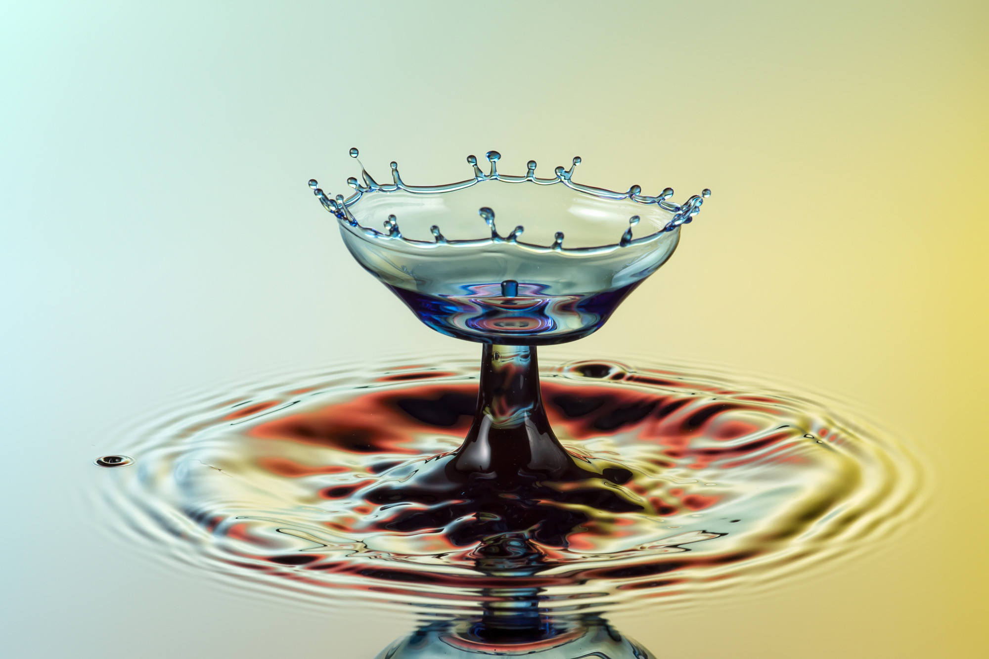 Macro Photography Lighting: Master Light for Stunning Close-Ups
